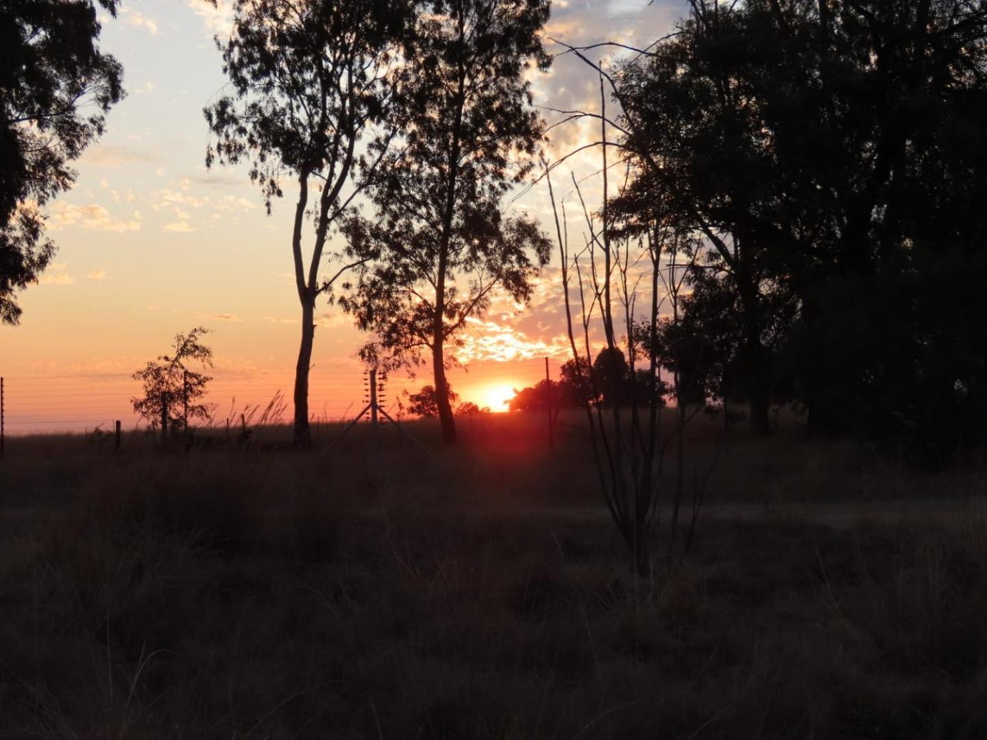 Sanctuary Life Guest Farm Hotel Magaliesburg Buitenkant foto