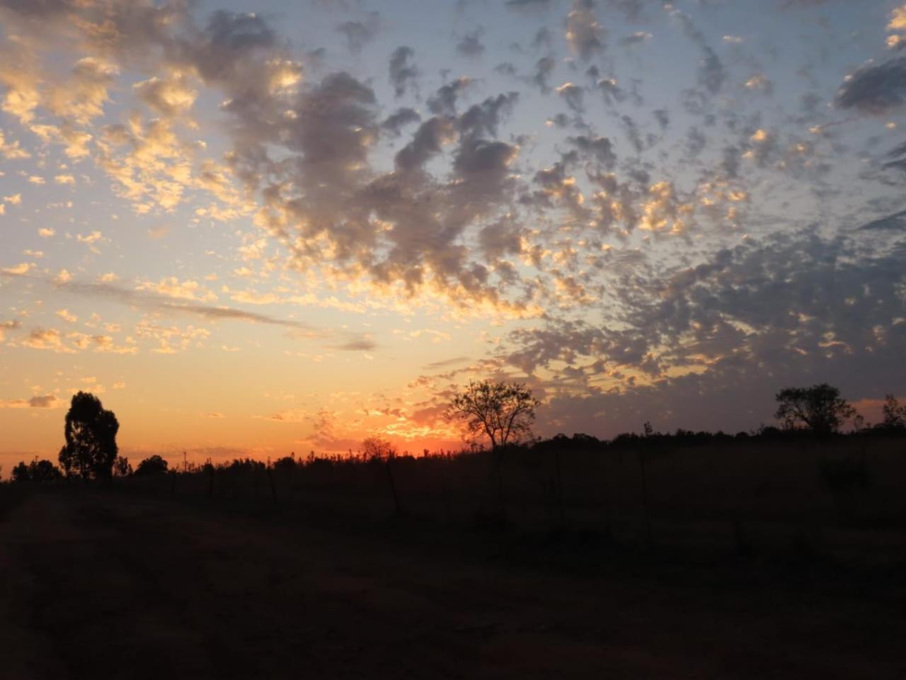 Sanctuary Life Guest Farm Hotel Magaliesburg Buitenkant foto