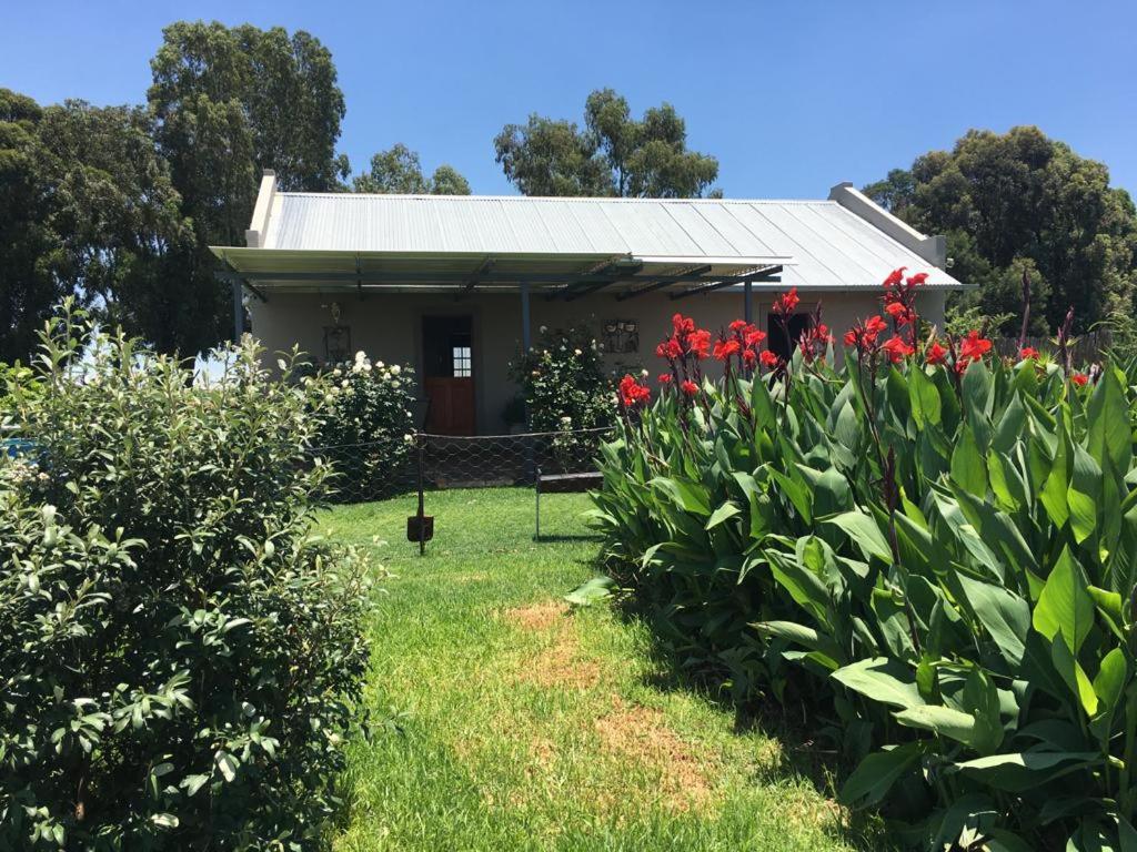 Sanctuary Life Guest Farm Hotel Magaliesburg Buitenkant foto