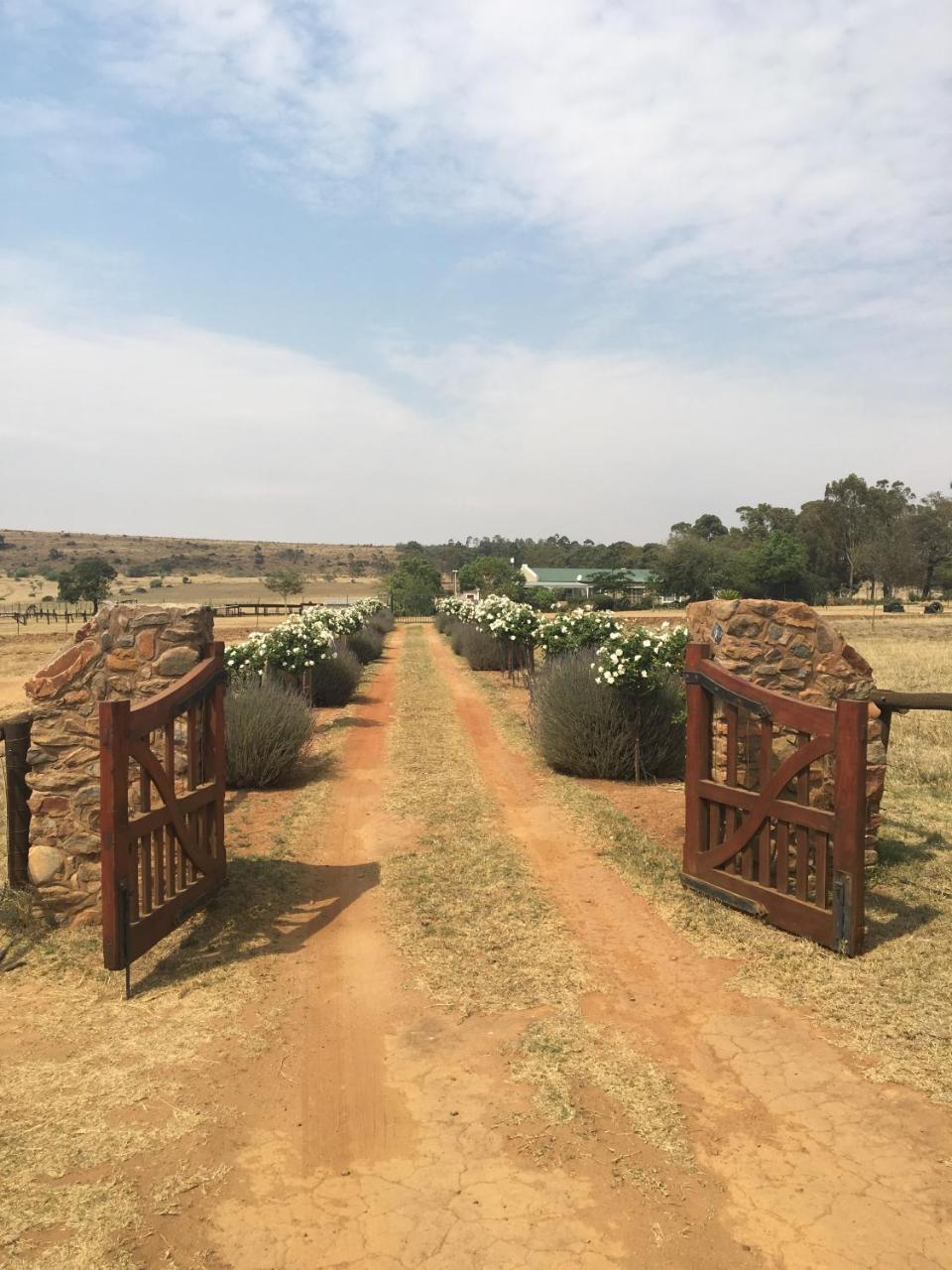 Sanctuary Life Guest Farm Hotel Magaliesburg Buitenkant foto