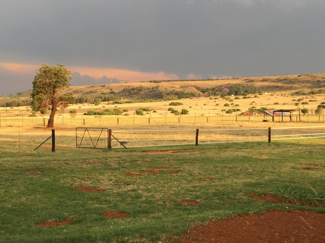 Sanctuary Life Guest Farm Hotel Magaliesburg Buitenkant foto