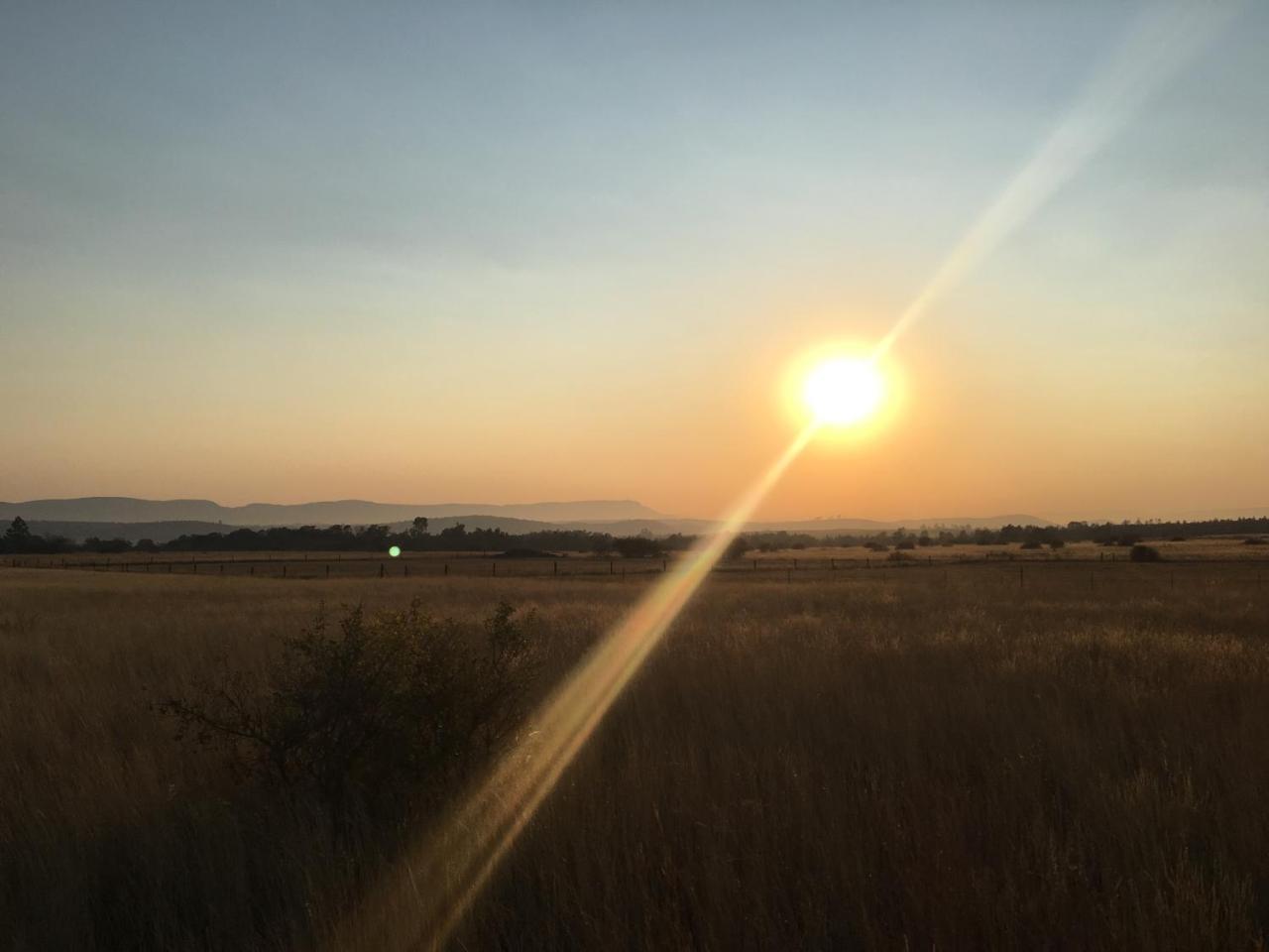 Sanctuary Life Guest Farm Hotel Magaliesburg Buitenkant foto